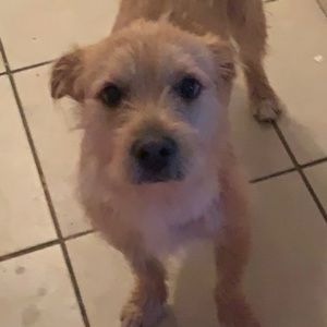 Meet your Posher, Jacklyn